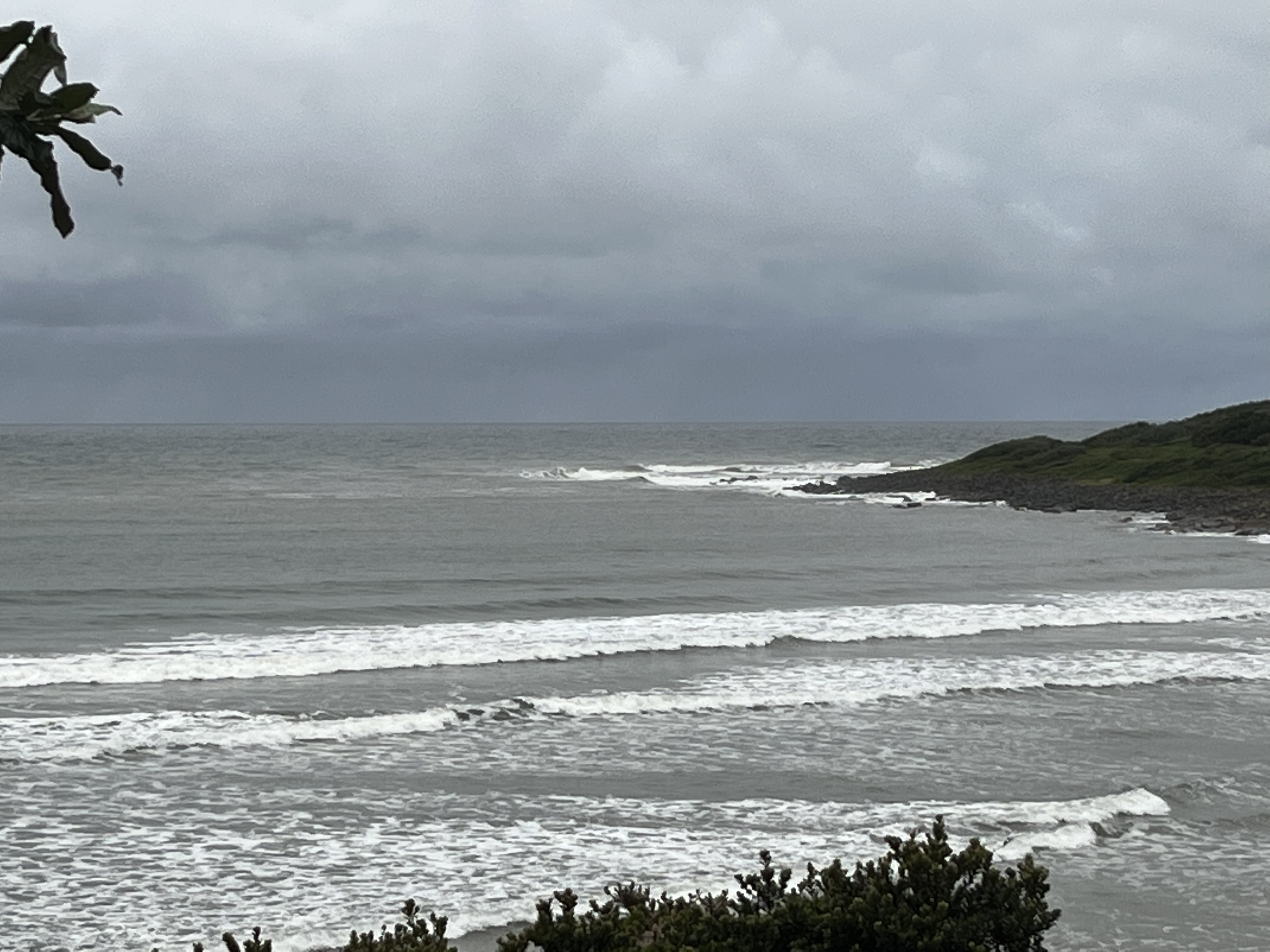 On its day the point at yellow sands would cook.