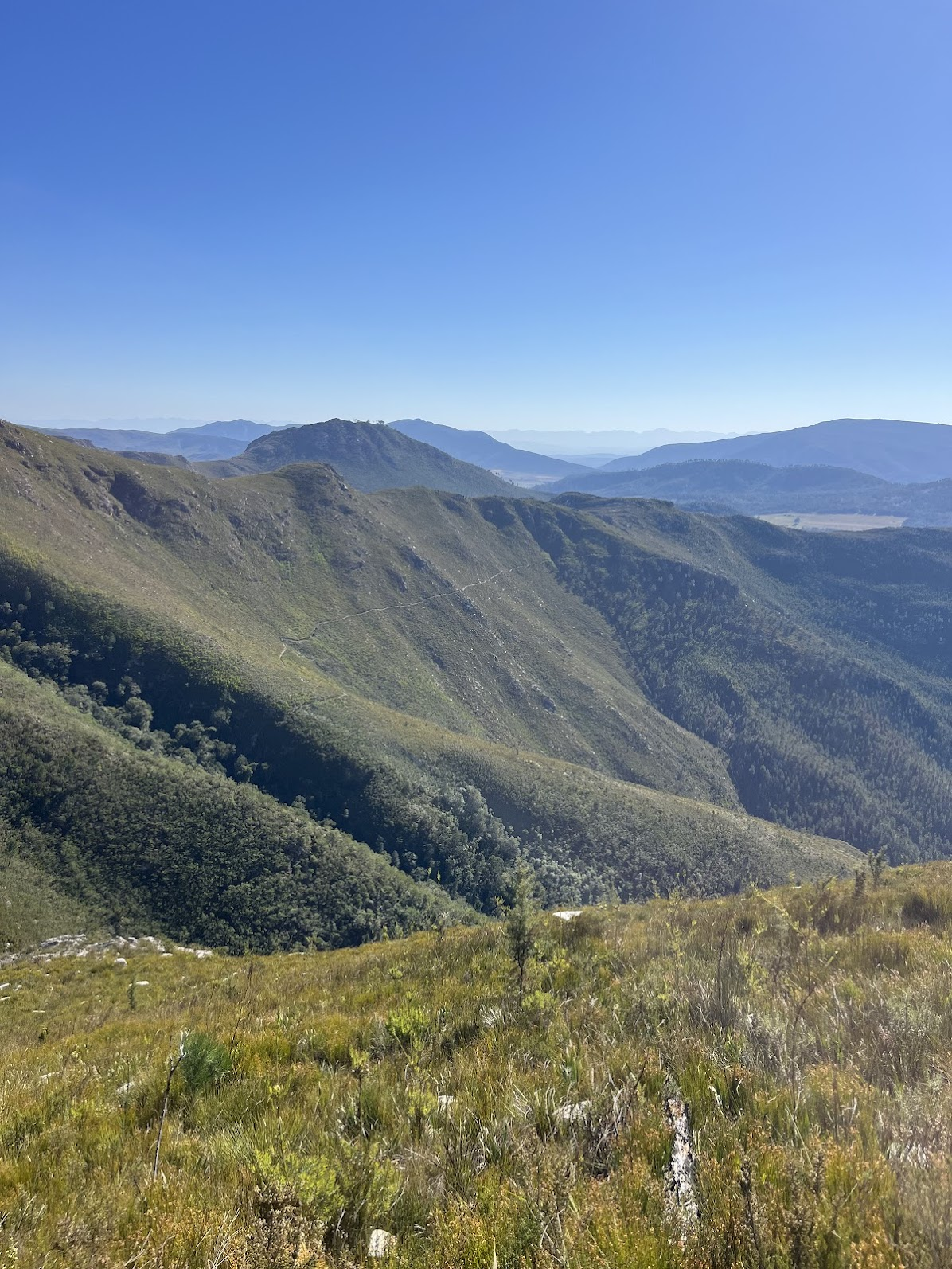 Taken from Dizzy Heights, with the trail that I came in on in in view