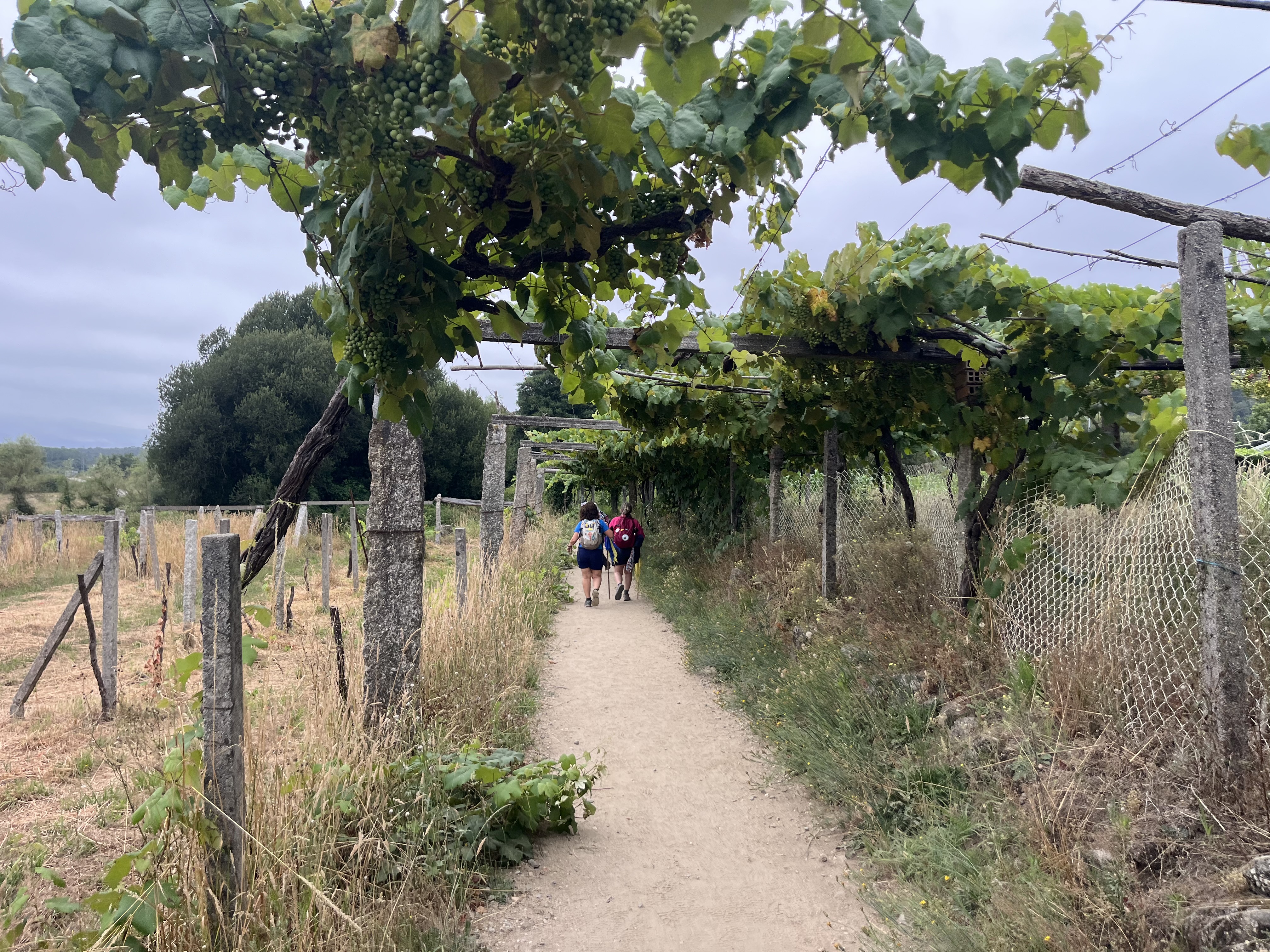 Chaotic Spanish women in all their glory