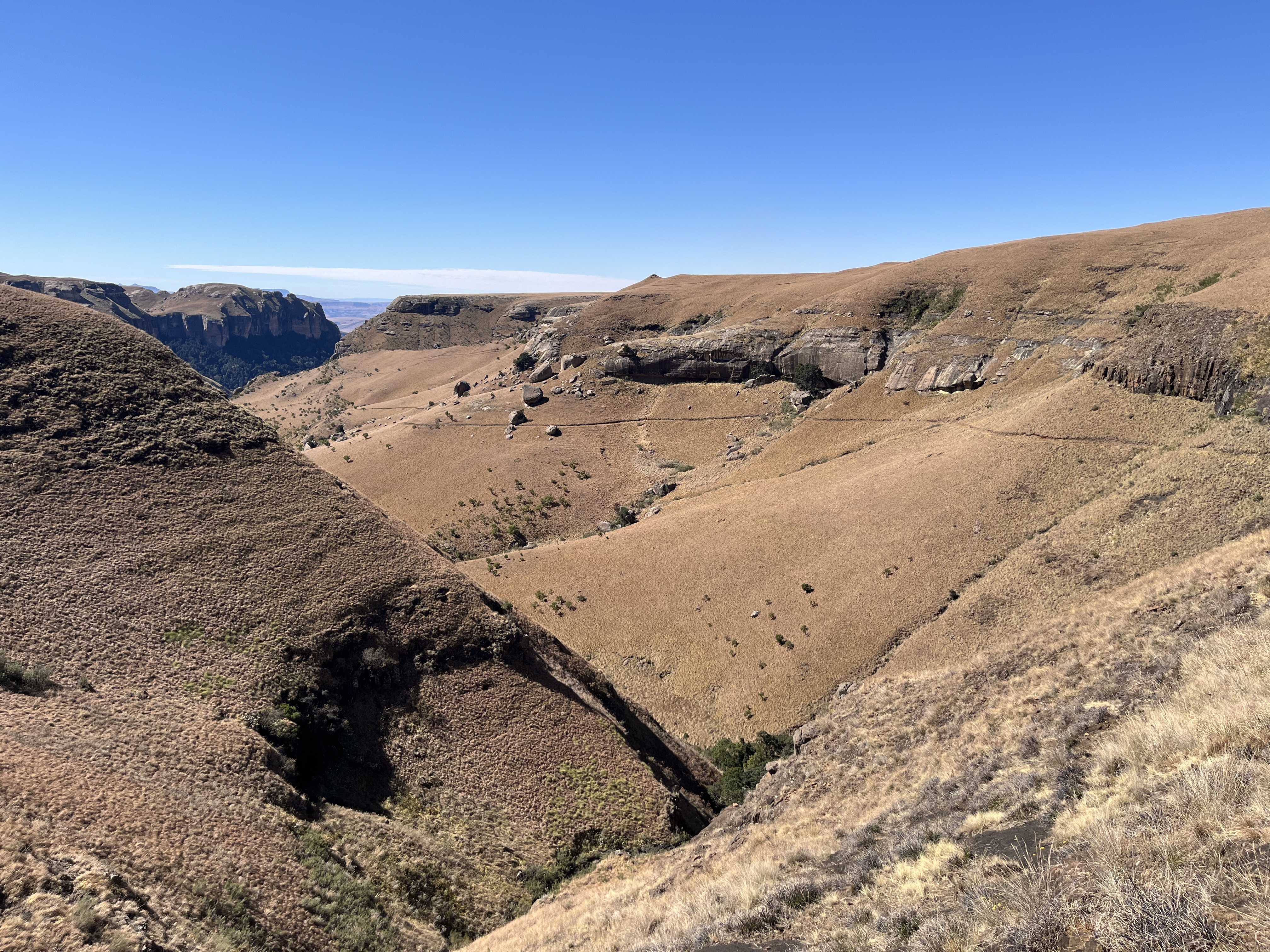 The best trail that Iâve ever run