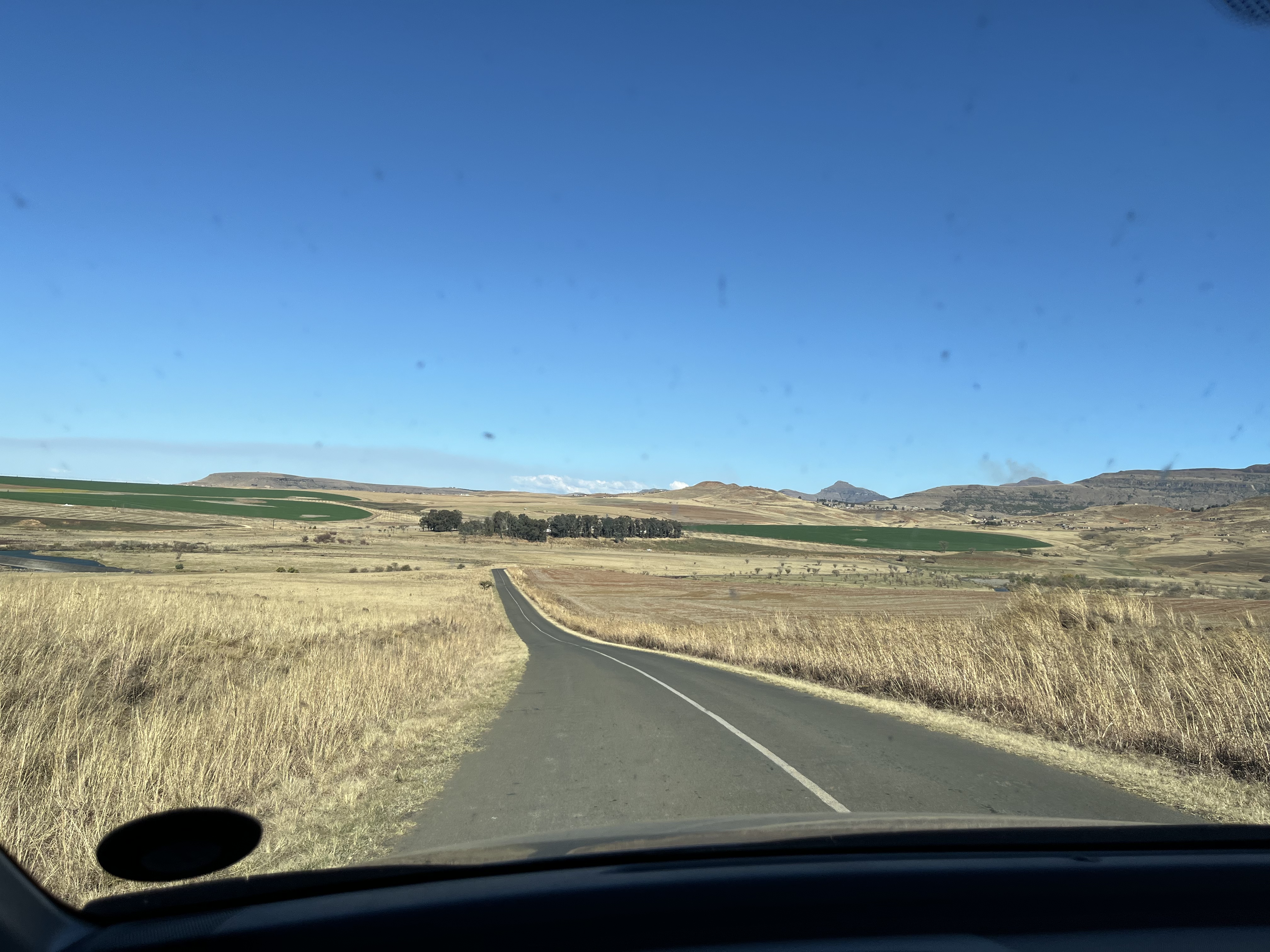 The colours of Winter