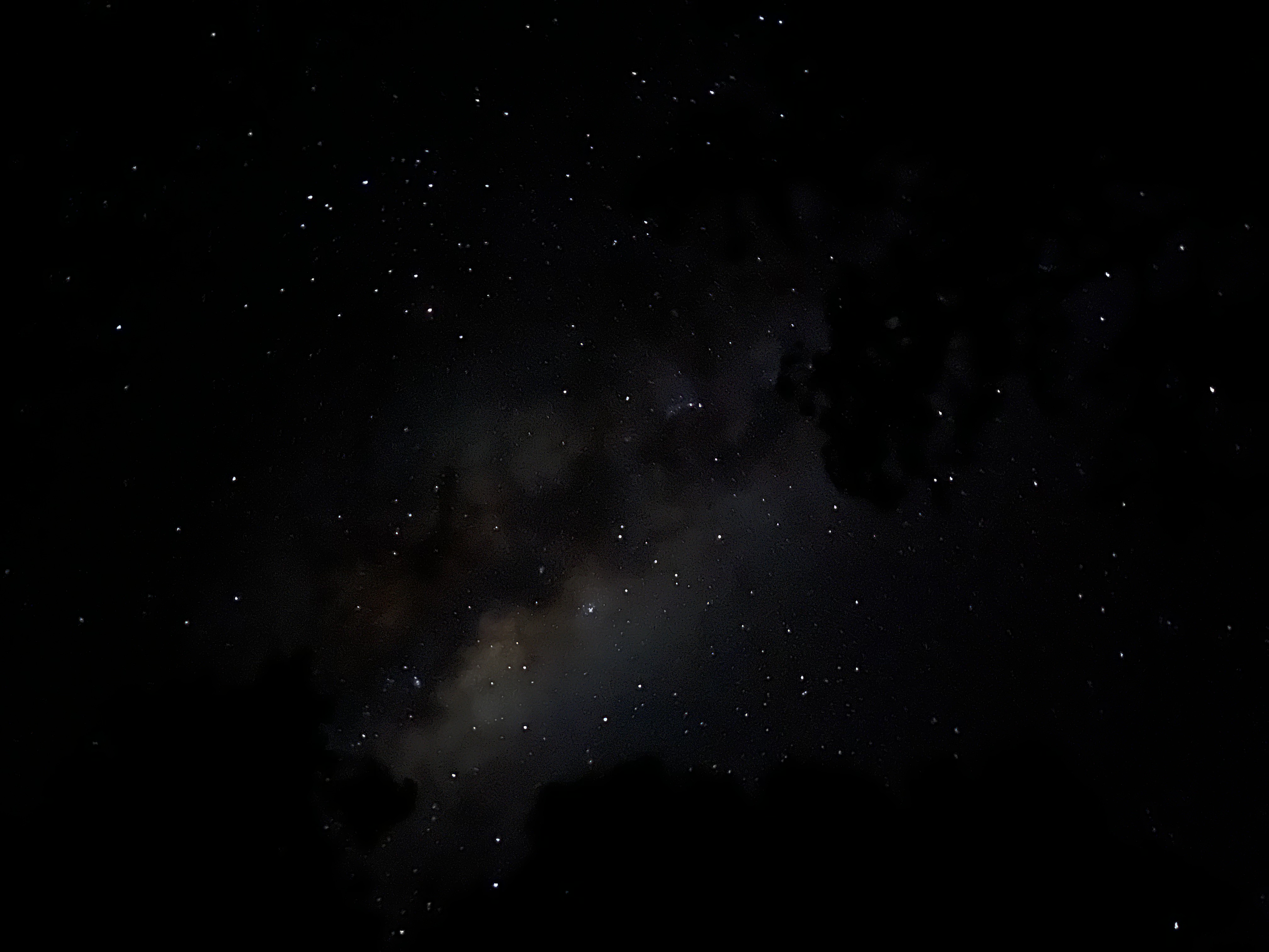 iPhone cameras are ridiculous these days.