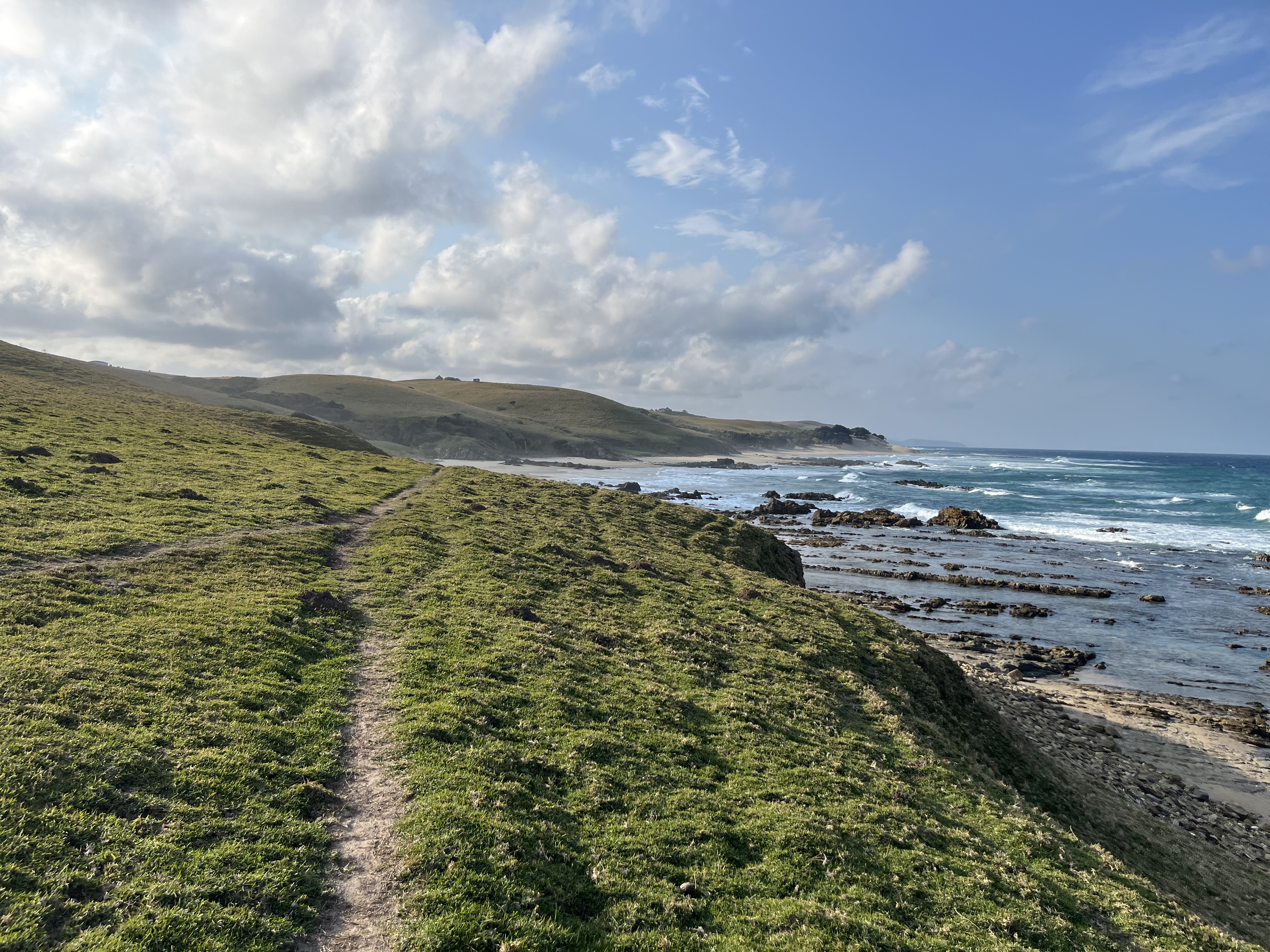 Bovineiterology preparation 