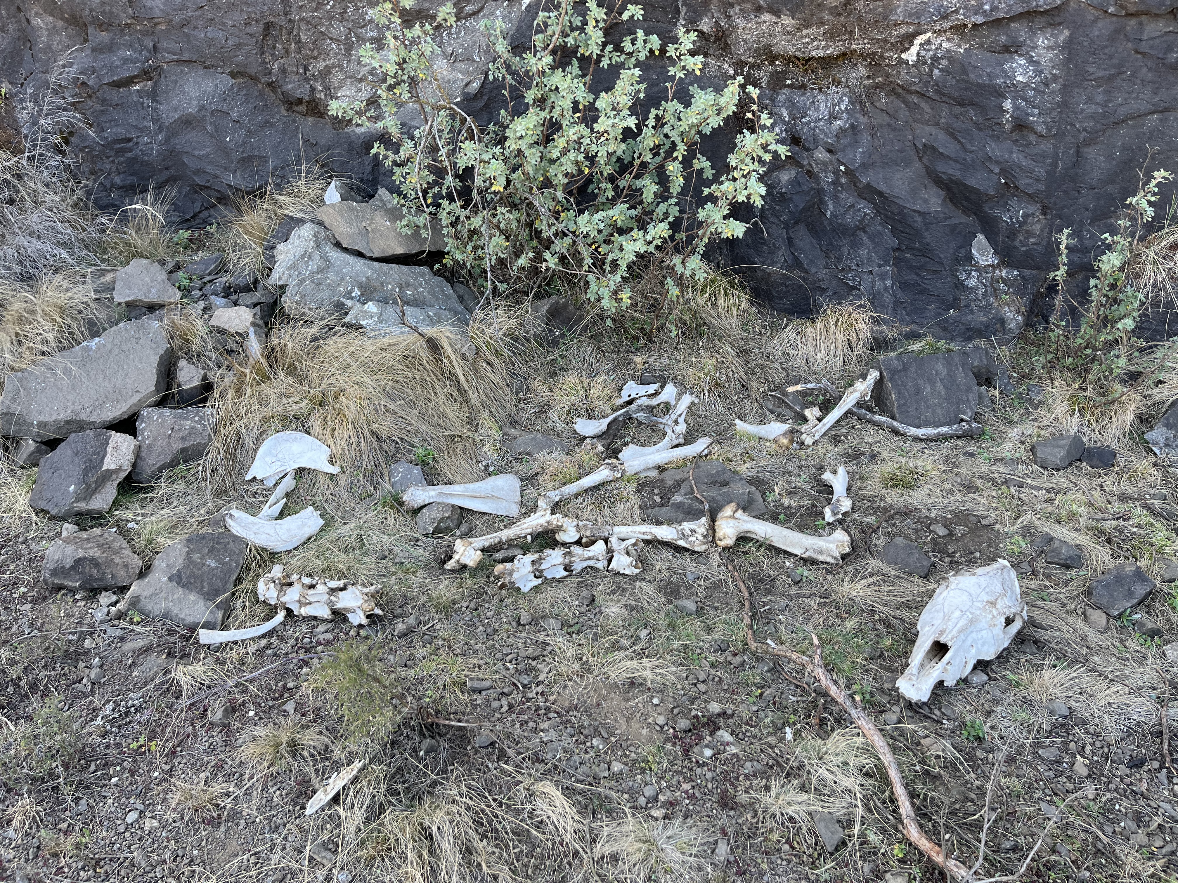 A fastpacker with too heavy a bag