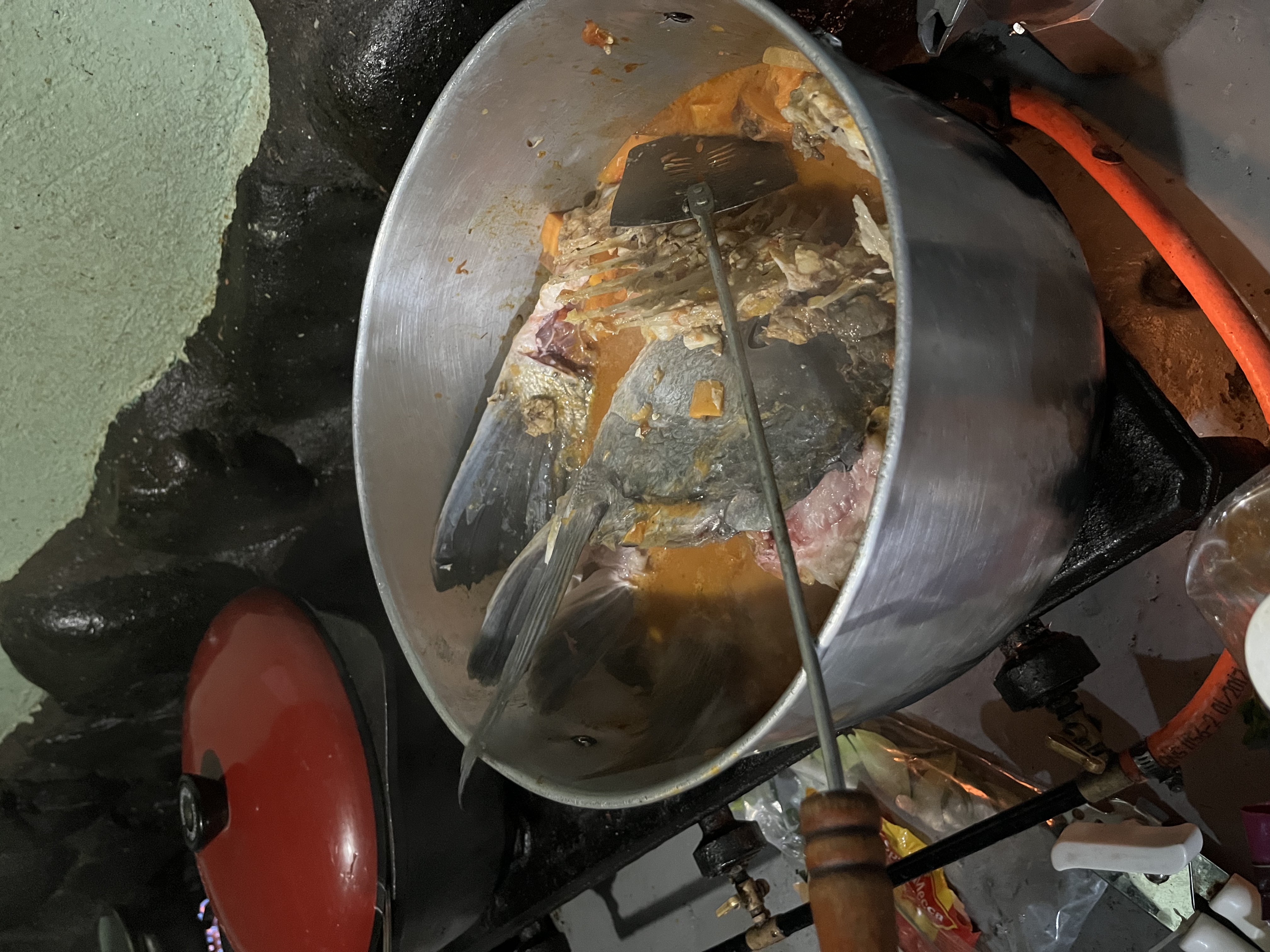 Musselcracker head curry