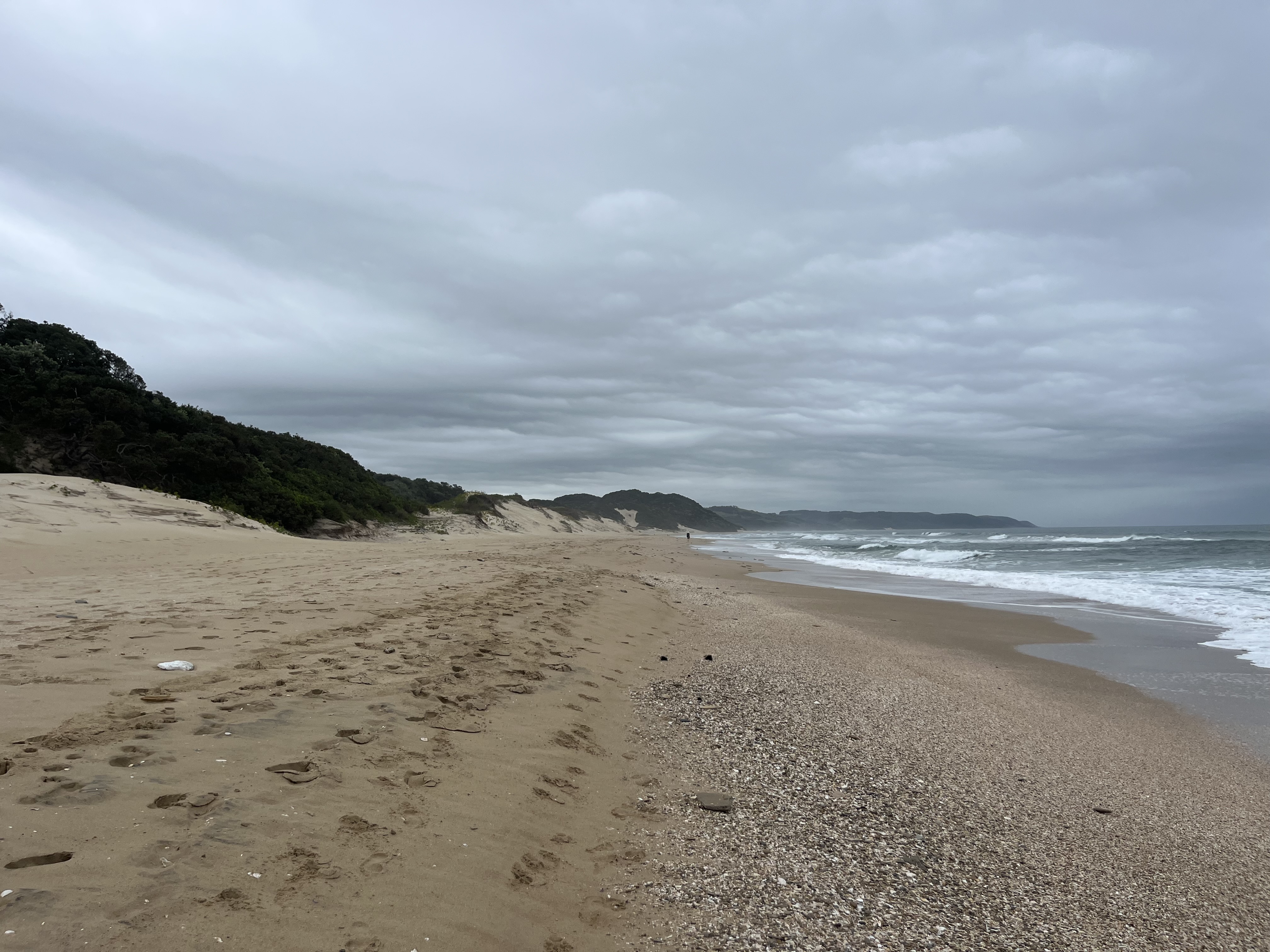 Fine art and fine brother