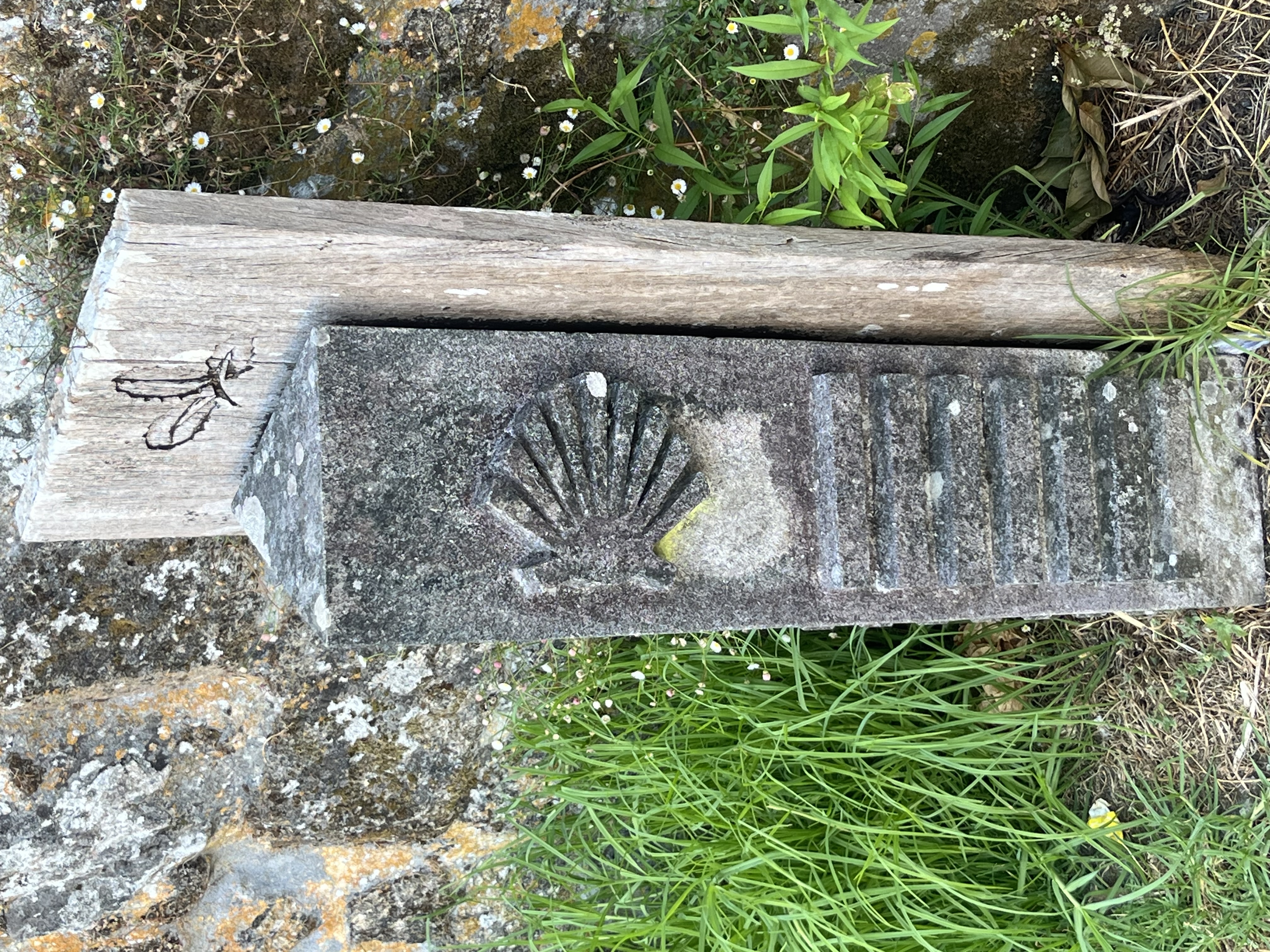 A very old Camino market