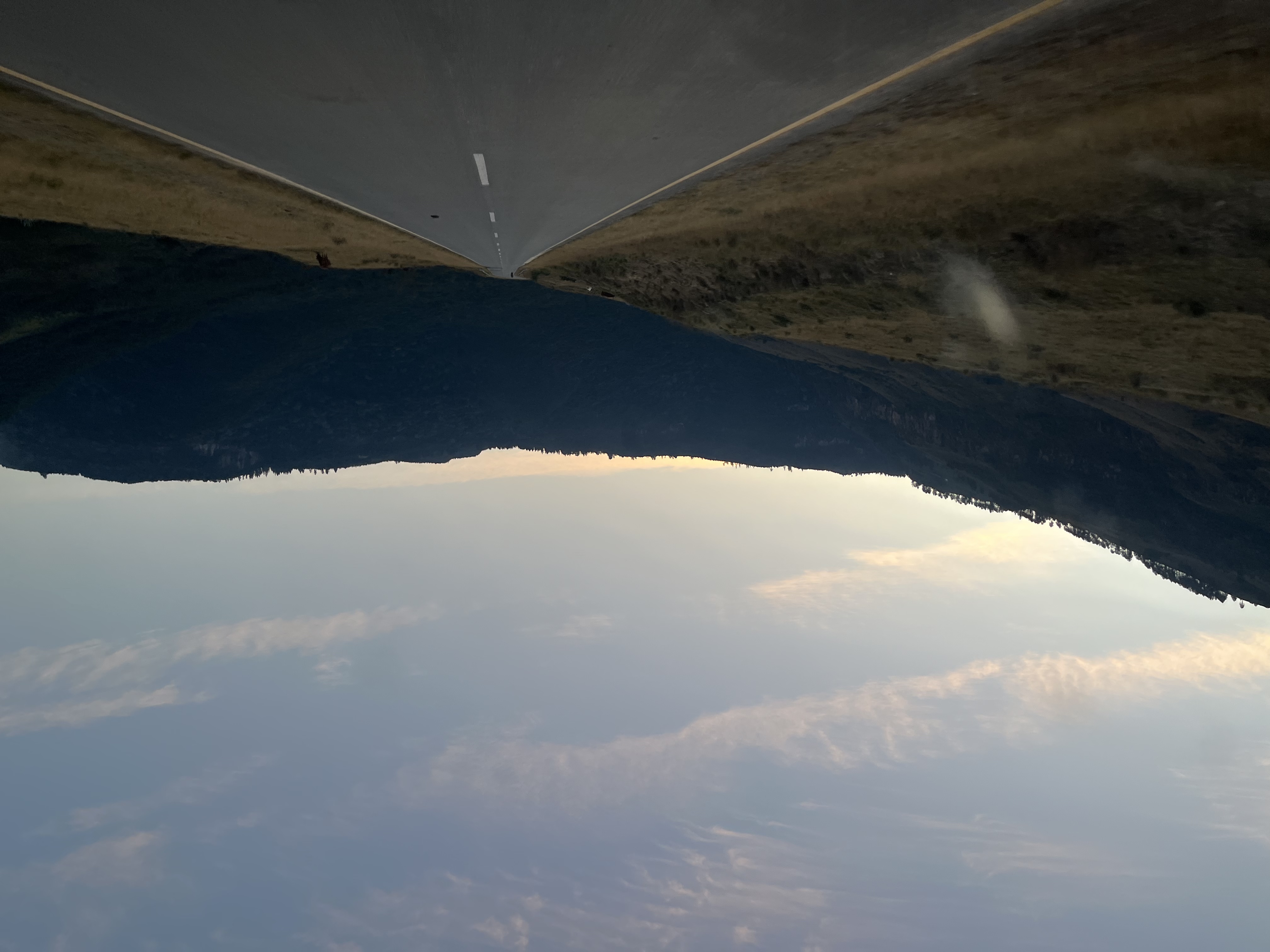 Summer (sick) Sunday 