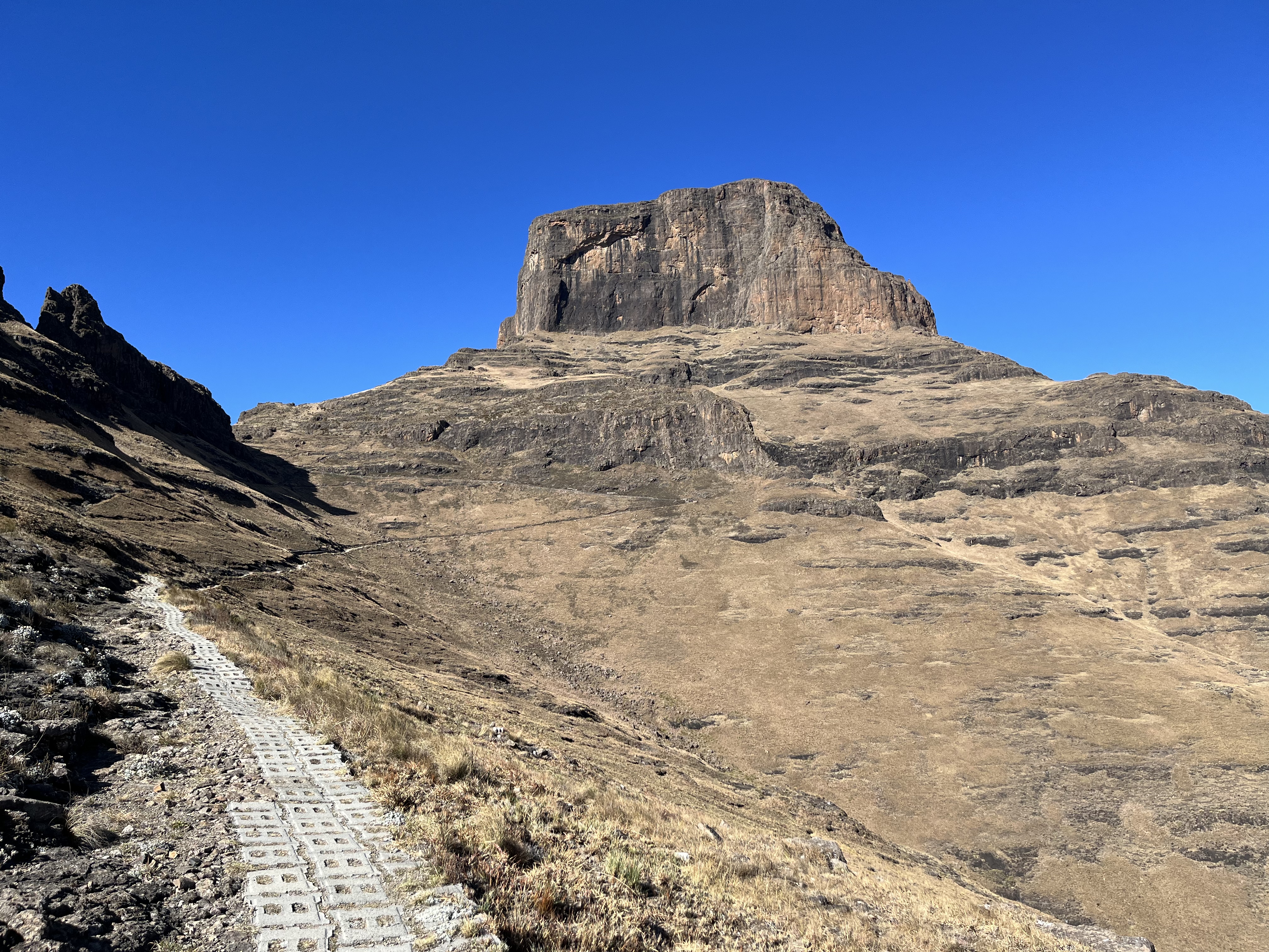 The Sentinel superhighway