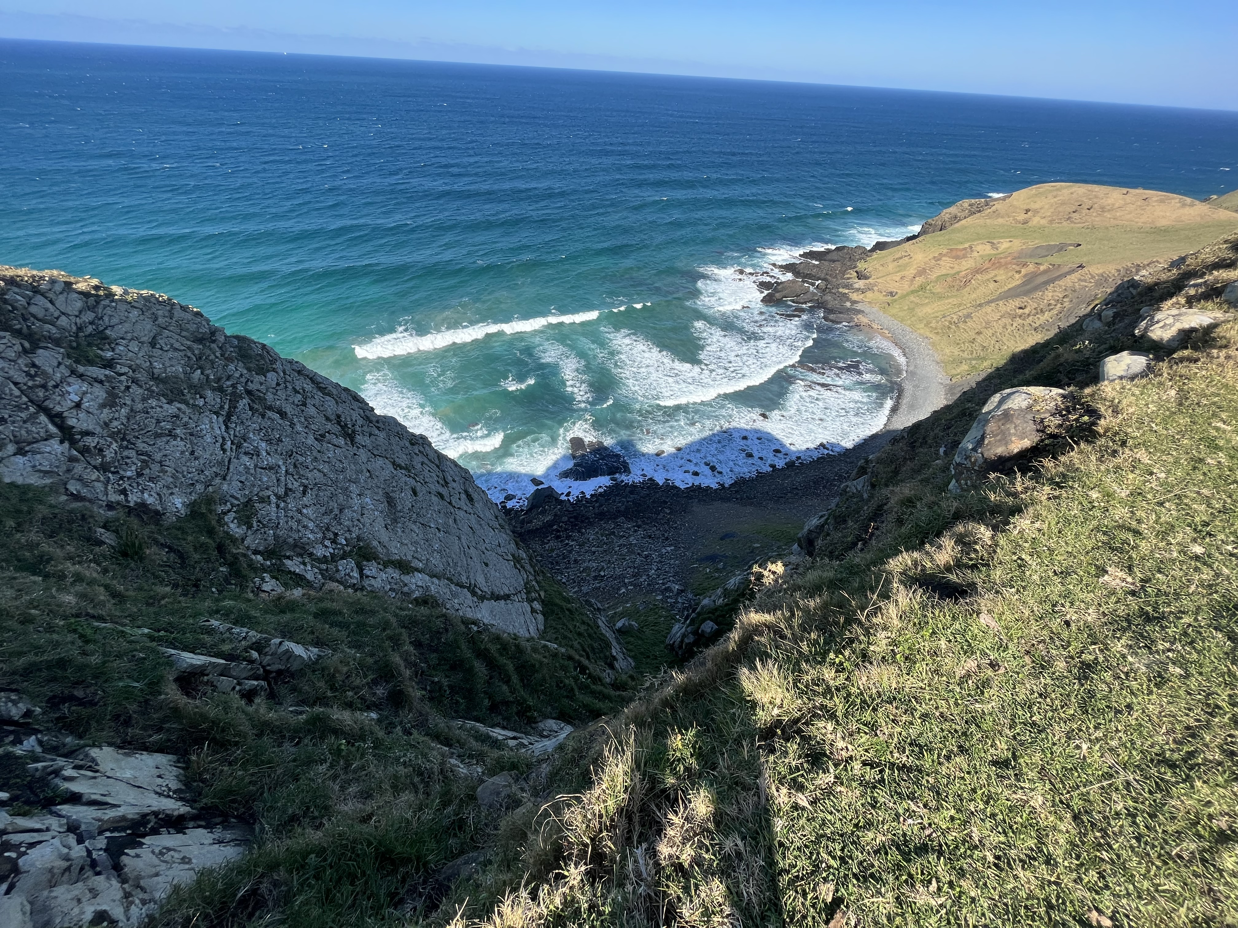 Cows wouldn’t go down here