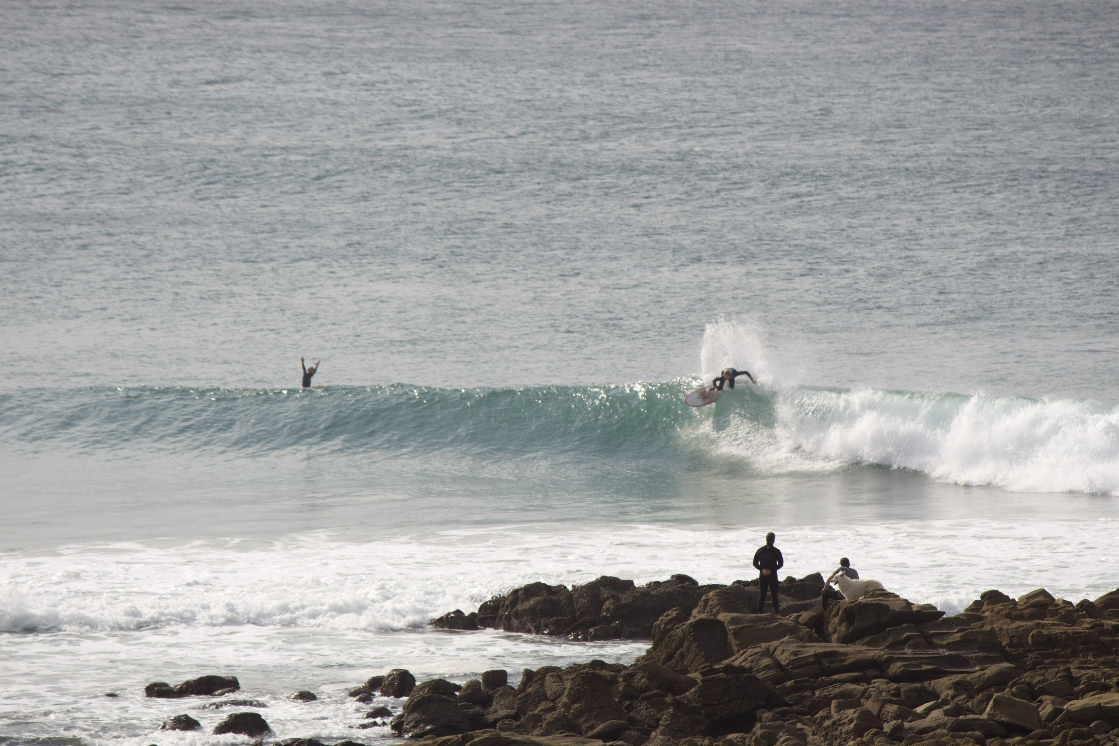 The full Mdumbi collage (note the wolf dog from the backpackers)