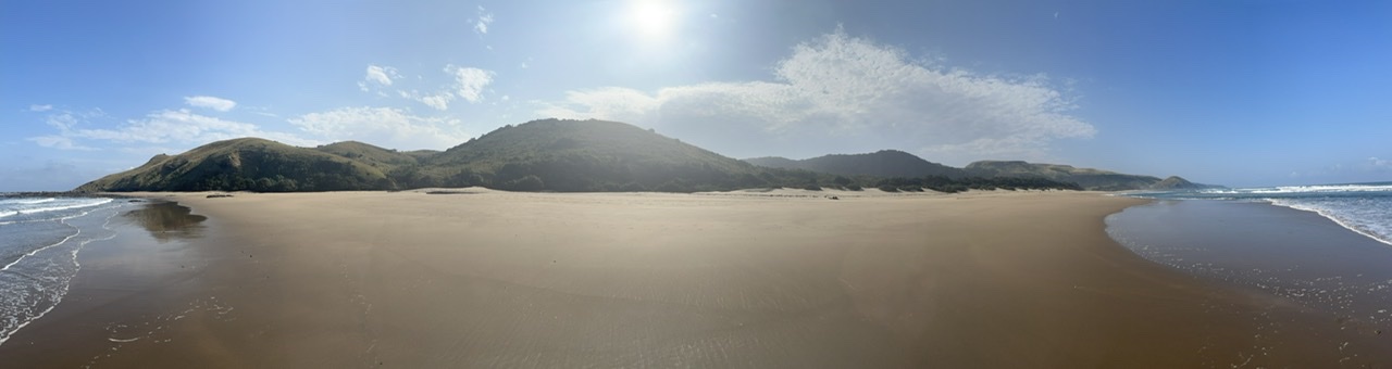 Footprints belonging to only me and a heard of cattle