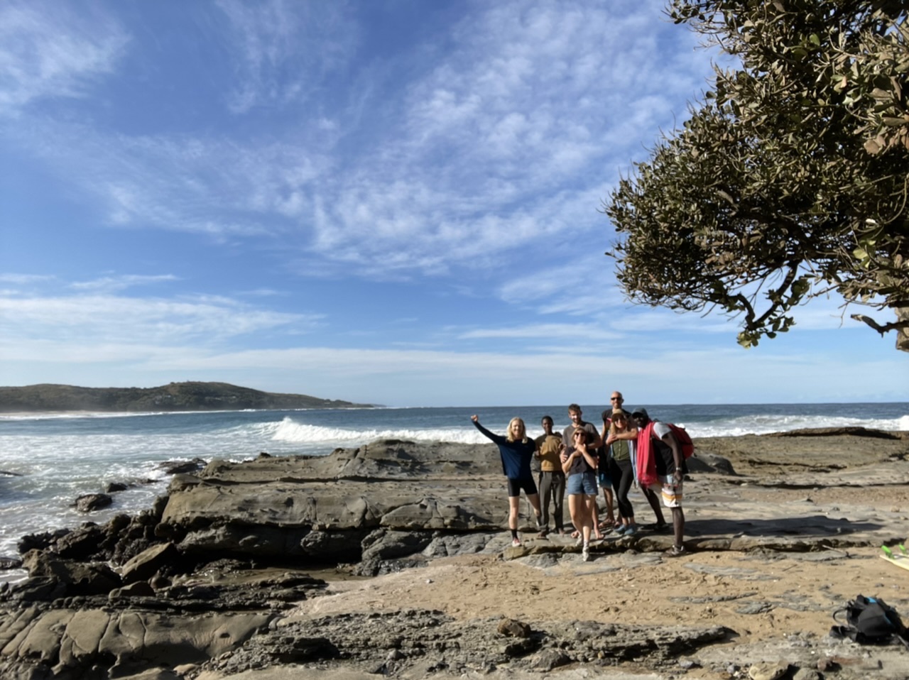 Featuring one whale just below the surface in the background 