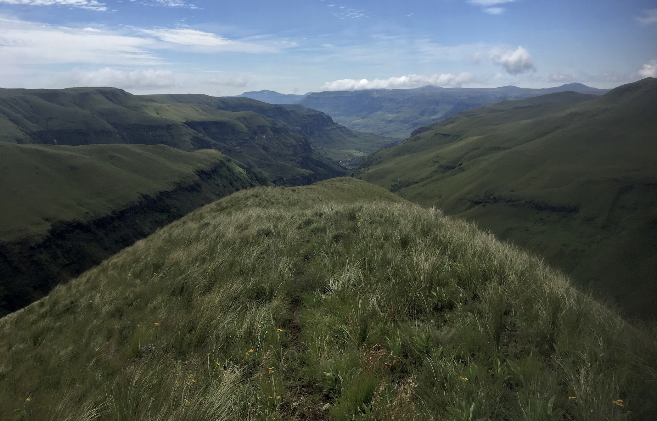 Does it get any better than this?